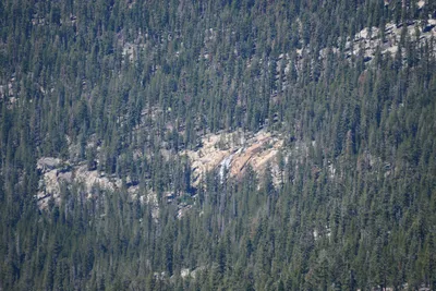 DSC_9965 (Large).JPG